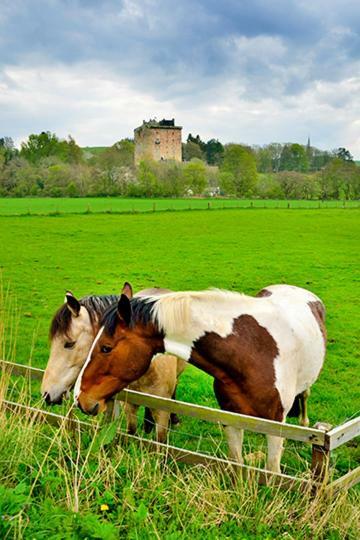 The Arches, Borthwick Mains Farm, Villa Gorebridge Bagian luar foto